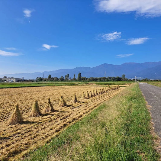 はぜかけとは？安曇野の秋に残る天日干しの風景と里山の知恵