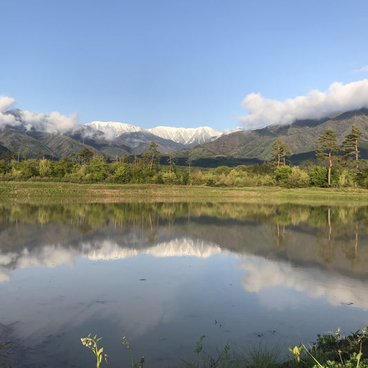 安曇野の水鏡とは？田植えの季節に現れる絶景とその理由