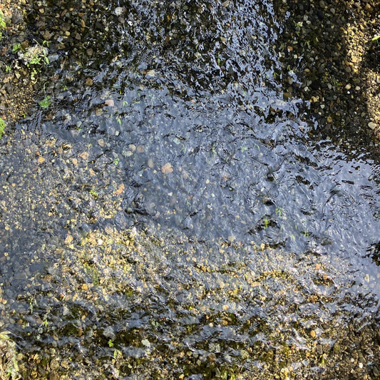 安曇野の湧水、扇状地の仕組みと水温上昇など環境変化の現実