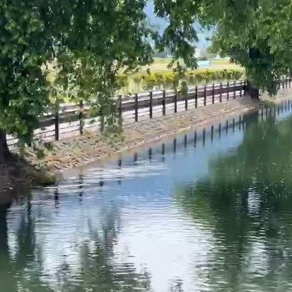 安曇野の堰を歩く｜水路がつくる風景と、心ほどける散策道