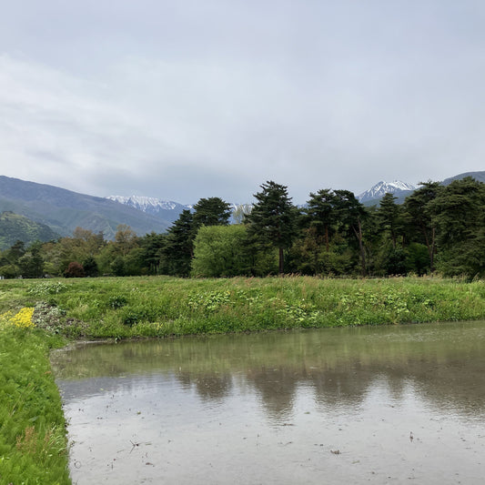 安曇野の田園散歩｜里山時間と風景の楽しみ方